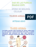 Tejido Animal 