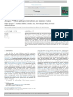 Xenopus-FV3 Host-pathogen Interactions and Immune Evasion