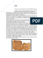 Informe Del Papiro
