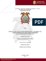 Universidad Andina "Néstor Cáceres Velásquez" Juliaca PDF