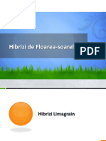 Hibrizi Floarea-Soarelui PDF
