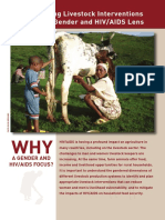 Planning Livestock Interventions With A Gender and HIV/AIDS Lens