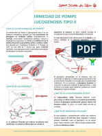 GSDII Pompe DIP ES PDF