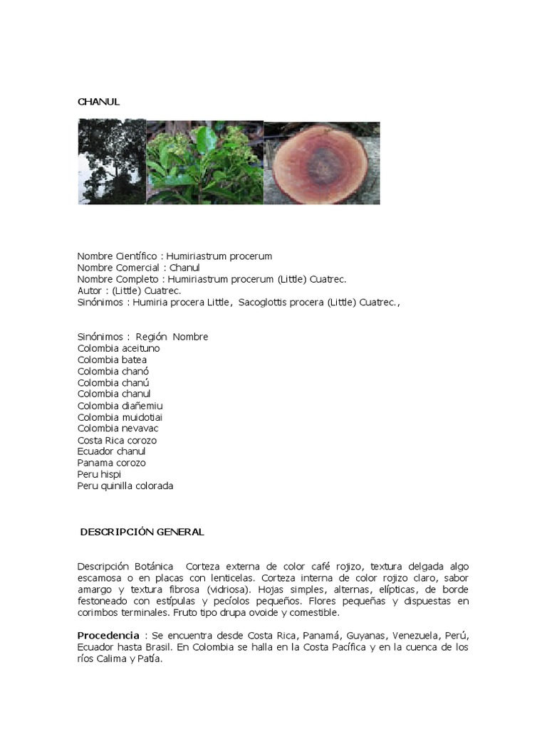Características del Chanul (Humiriastrum procerum) | PDF | Arboles ...