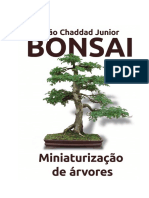 Introdução ao Bonsai