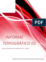 Informe 01 de Topo