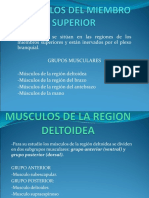 4Musculos del Miembro Superior 2018.ppt