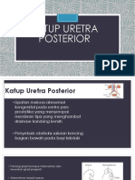 Katup Uretra Posterior