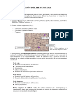 Clases 3 - Interpretacion-Del-Hemograma PDF