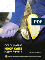 Colour Atlas of Hoof Care in Dairy Cattle