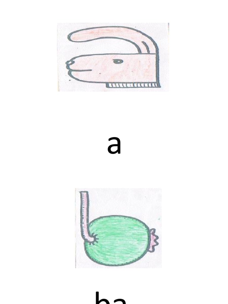 Claveria Technique Pdf