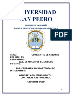 Universidad San Pedro