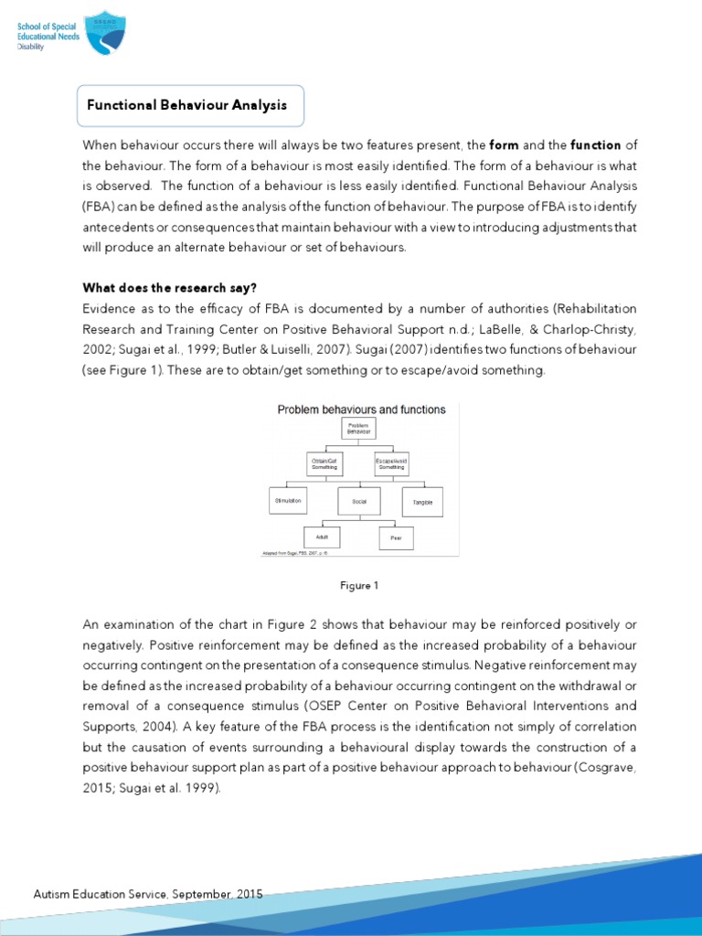 Functional Behaviour Analysis Overview | PDF | Hypothesis | Educational ...