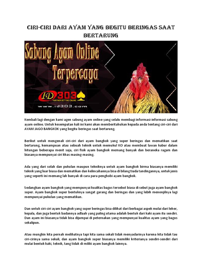 Ciri Ciri Dari Ayam Yang Begitu Beringas Saat Bertarung