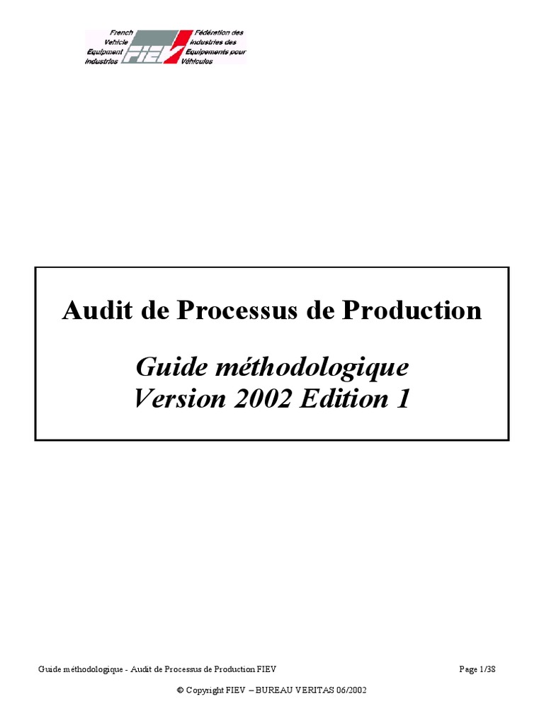 Guide Méthodologique Audit Processus FIEV Version 2002 Edition 1 | PDF ...