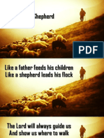 The Shepherd