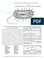 Celulas Procariotas Origen y Evolución PDF