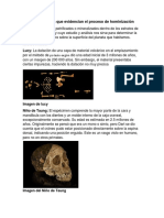 Restos Fósiles Que Evidencian El Proceso de Hominización