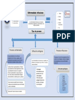 Mapa Conceptual Cardioo