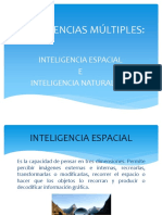 Expo Inteligencias Múltiples