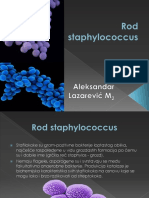 Rod Staphylococcus