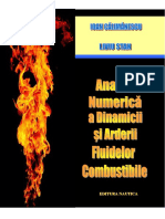 Complemente de Dinamica Gazelor Si Teoria Combustiei PDF