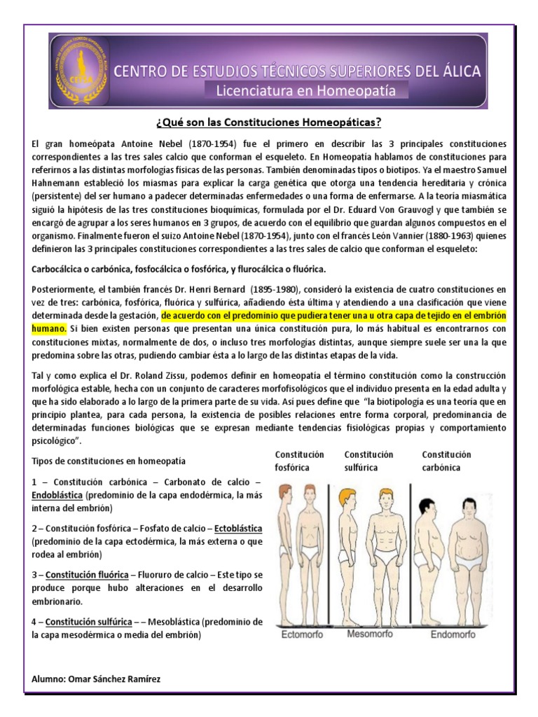 Qué son las Constituciones Homeopáticas | Homeopatía | Alergia