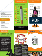 Triptico Cigarro 1 CC PDF