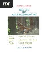 Education thesis idea image