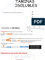 Vitaminas Liposolubles Expooo