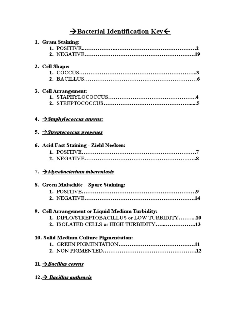 Bacterial Identification Key PDF Immunology Microbiology