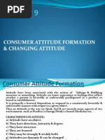 Attitude Formation