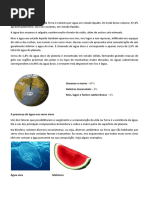 A ÁGUA.docx
