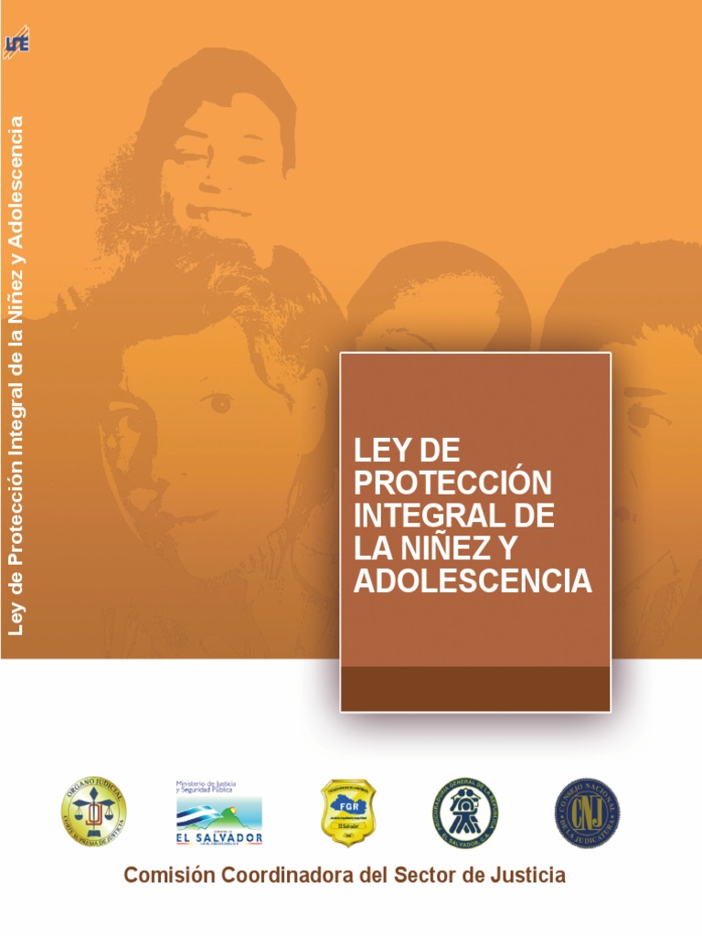 Ley de Protección Integral de la Niñez y la Adolescencia, LEPINA.pdf ...