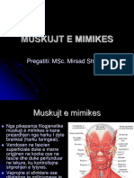 Muskujt e Mimikes Dhe Te Pertypjes 2