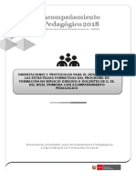 5 24mayo2018 Orientaciones para El Acompañamiento Pedagógico y Protocolo Del Acompañante Pedagógico 2018