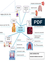 Regulación del equilibrio ácido-base a través de los sistemas respiratorio y renal
