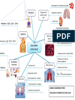Equilibrio Acido-Base FisioII