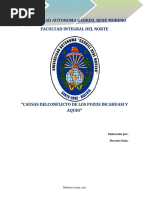 INCAHUASI TRABAJO CIENTIFICO scribid.docx