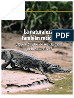 La Naturaleza Tambien Recicla