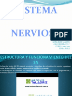 Estructurayfuncionamientodelsistemanervioso 121122095802 Phpapp02