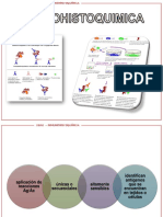 INMUNOHISTOQUÍMICA