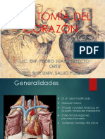 Anatomia Del Corazon Perfecto