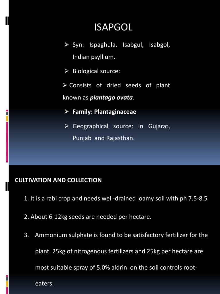 Isabgol: Biological Source and Uses | PDF | Botany | Agronomy