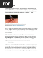 Leishmaniose Visceral.docx Para o Site