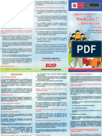 material_formar_sindicato.pdf