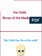 Bones of The Medial Wall of The Orbit