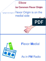 Which Side Has Common Flexor Origin: Elbow