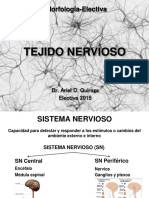 Tejido Nervioso Electiva 2015