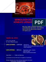 Semiología AP Urinario